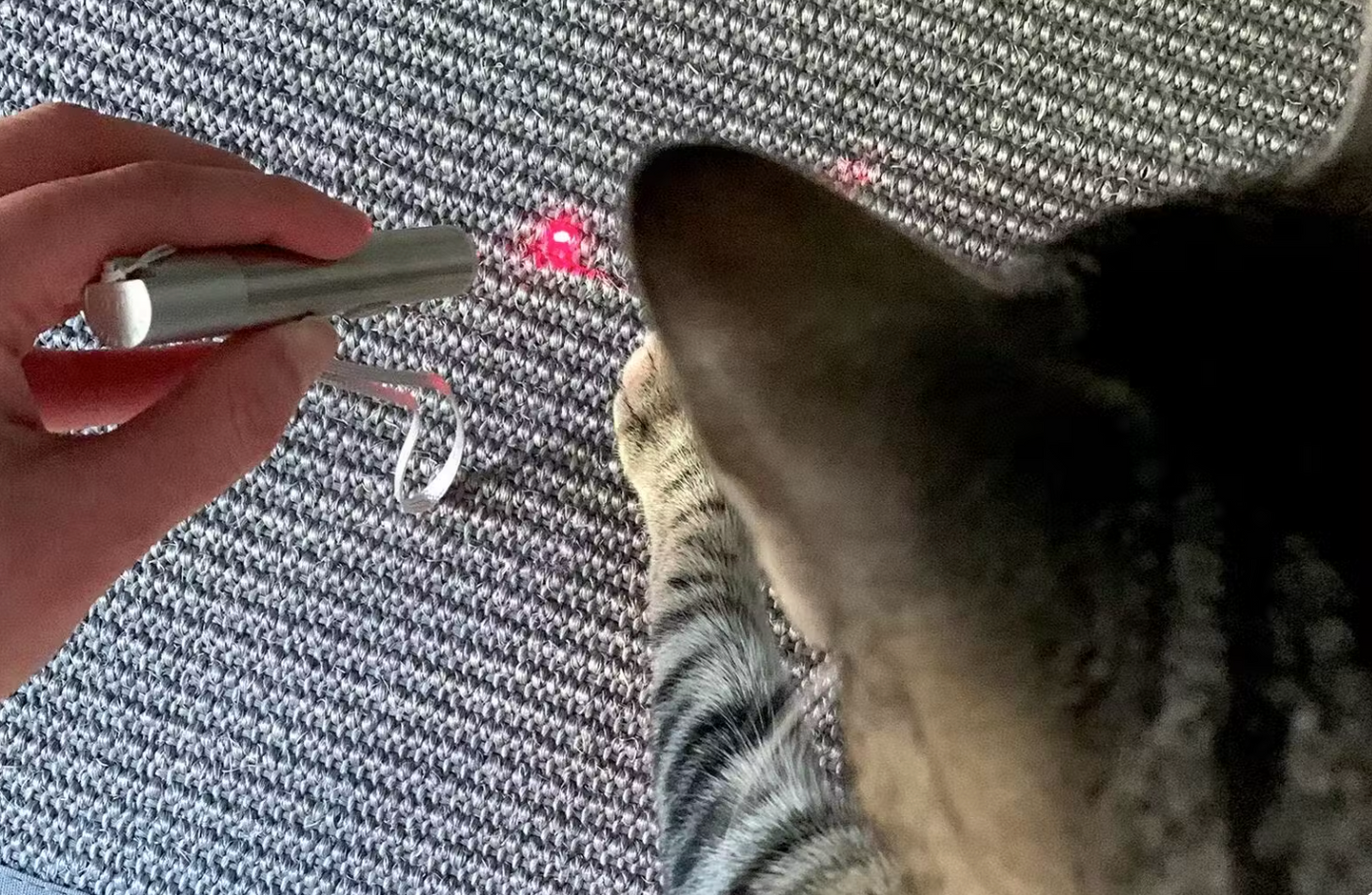 Rechargeable Laser Pointer